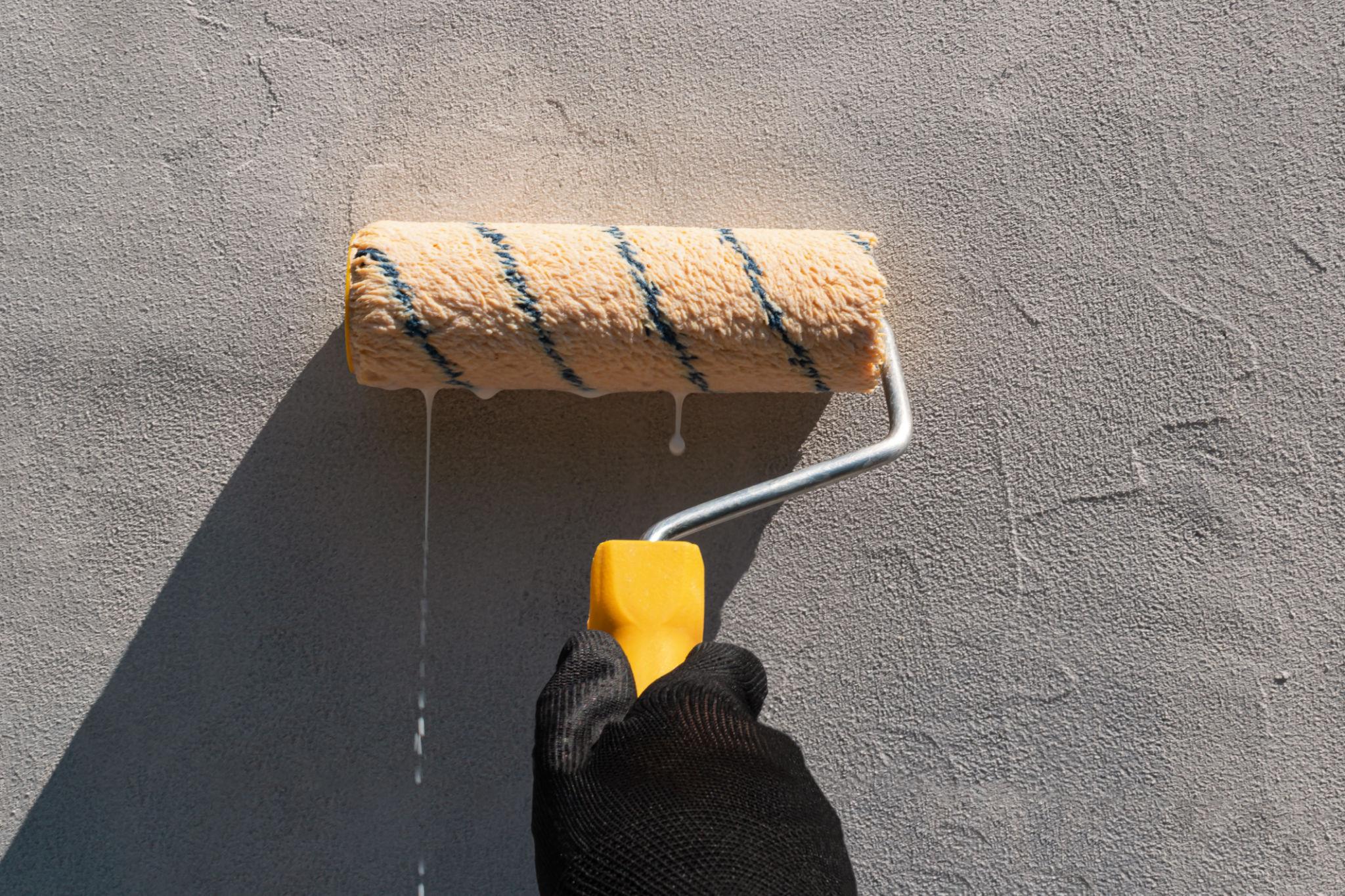 Wall Primer Paint for Better Adhesion